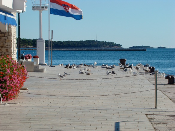 In port. Porec, Croatia. Foto: ©Slowaholic