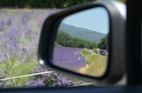 Privind înapoi / Looking back. Provence, France, July 2015. Photo: ©Slowaholic